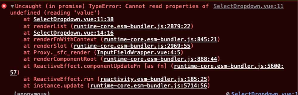 Error message in a Vuejs application