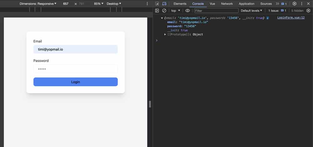 LoginForm.vue + console in the browser