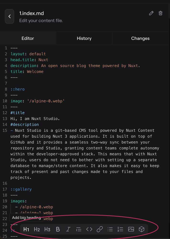 Prose highlighted in the editor
